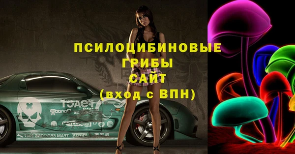 прущий лед Богородск