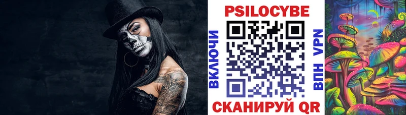Псилоцибиновые грибы Psilocybe  Пестово 