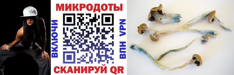 Псилоцибиновые грибы ЛСД Пестово